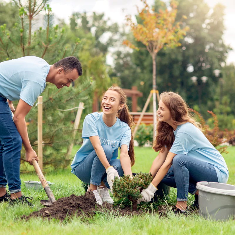 Community Participation